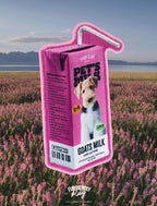 FURRIENDLY RUG 客製化寵物短毛絨地毯 - 𝗣𝗢𝗢𝗣 𝗖𝗟𝗨𝗕®